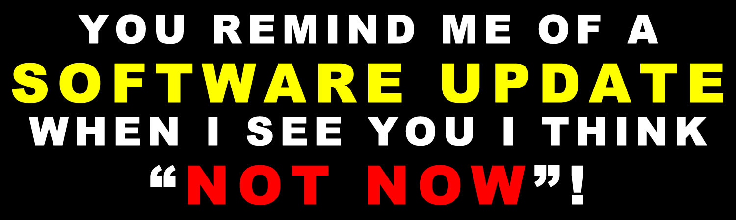 You remind me of a software update when i see you i think not now! Bumper Sticker, Magnet or Window Cling - Custom Bumper Sticker, Vinyl Sticker, or Magnet