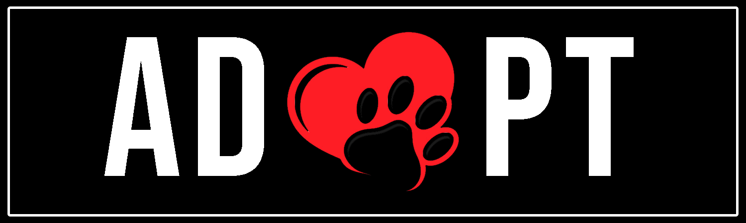 Adopt A Pet Custom Vinyl Sticker, Window Cling or Magnet in UV Laminate Coating - Custom Bumper Sticker, Vinyl Sticker, or Magnet