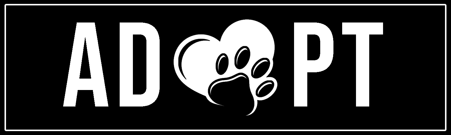 Adopt A Pet Custom Vinyl Sticker, Window Cling or Magnet in UV Laminate Coating - Custom Bumper Sticker, Vinyl Sticker, or Magnet