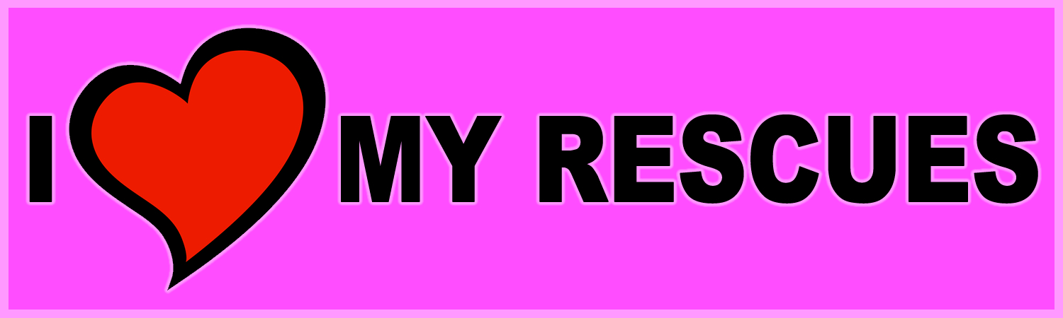 I Love My Rescues Custom Vinyl Sticker, Window Cling or Magnet in UV Laminate Coating - Custom Bumper Sticker, Vinyl Sticker, or Magnet