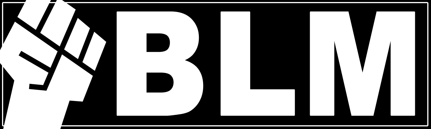 BLM Custom Vinyl Sticker, Window Cling or Magnet in UV Laminate Coating - Custom Bumper Sticker, Vinyl Sticker, or Magnet