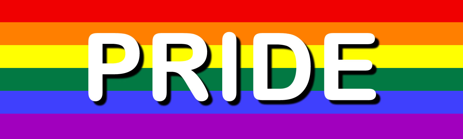 Pride Custom Vinyl Sticker, Window Cling or Magnet in UV Laminate Coating - Custom Bumper Sticker, Vinyl Sticker, or Magnet