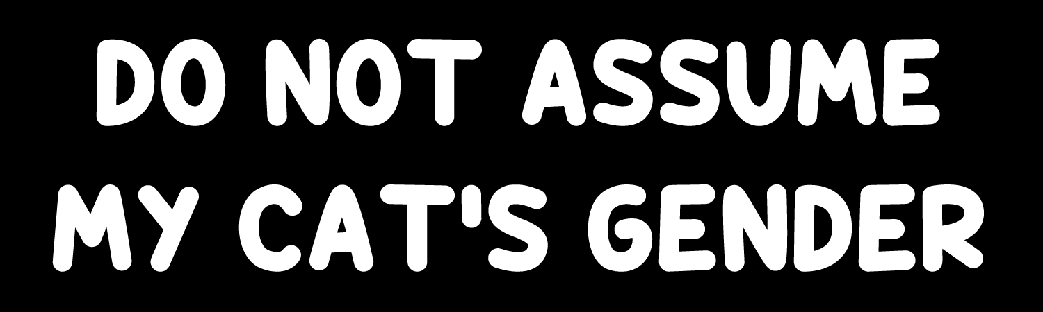 Do Not Assume My Cats Gender Vinyl Bumper Sticker, Window Cling or Bumper Sticker Magnet in UV Laminate Coating - Custom Bumper Sticker, Vinyl Sticker, or Magnet