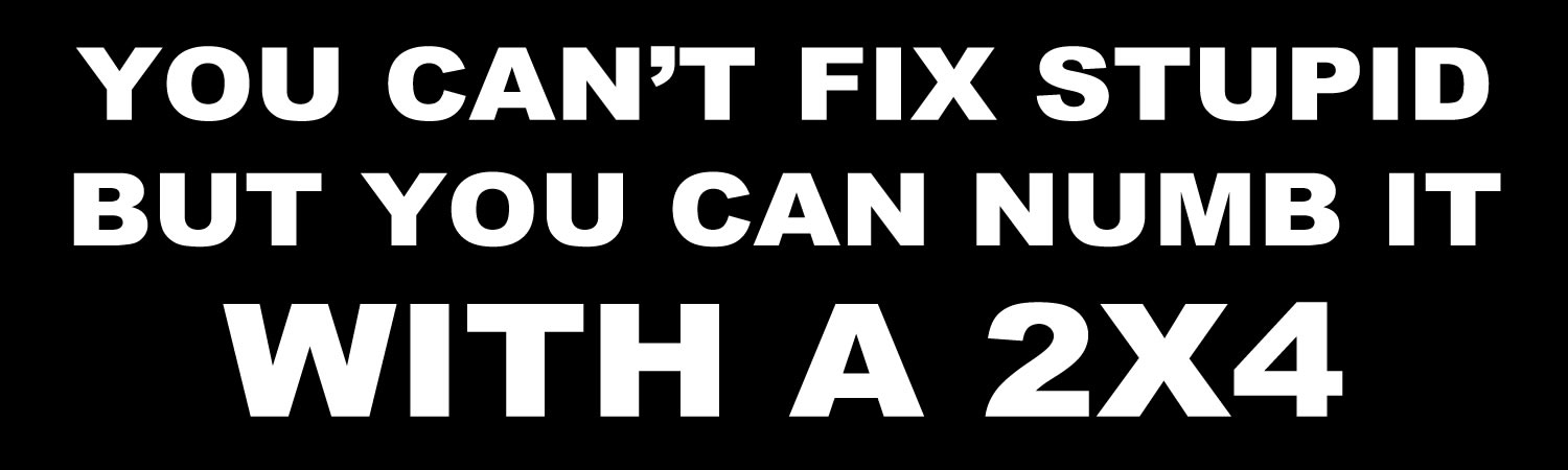  You Can t Fix Stupid But You Can Numb It With A 2X4  Vinyl Bumper Sticker  Window Cling or Bumper Sticker Magnet in UV Laminate Coating - Custom Bumper Sticker, Vinyl Sticker, or Magnet