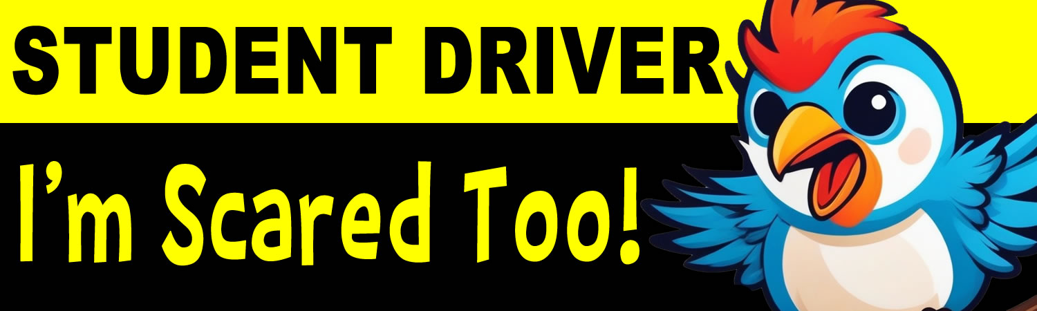 Student Driver I m Scared Too  Vinyl Bumper Sticker  Window Cling or Bumper Sticker Magnet in UV Laminate Coating - Custom Bumper Sticker, Vinyl Sticker, or Magnet