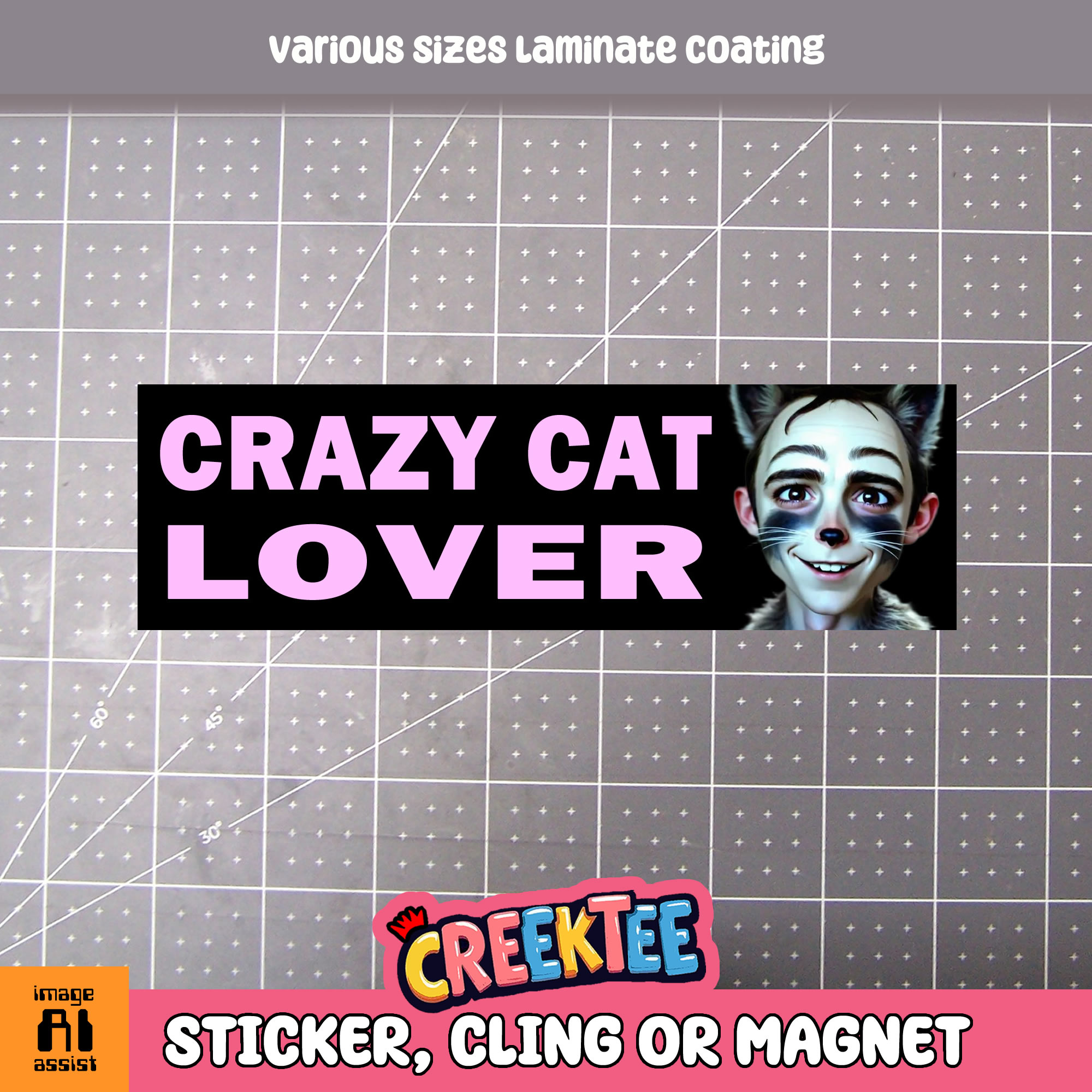 Crazy Cat Lover Vinyl Bumper Sticker  Window Cling or Magnet in UV Laminate Coating and Various Sizes - Custom Bumper Sticker, Vinyl Sticker, or Magnet