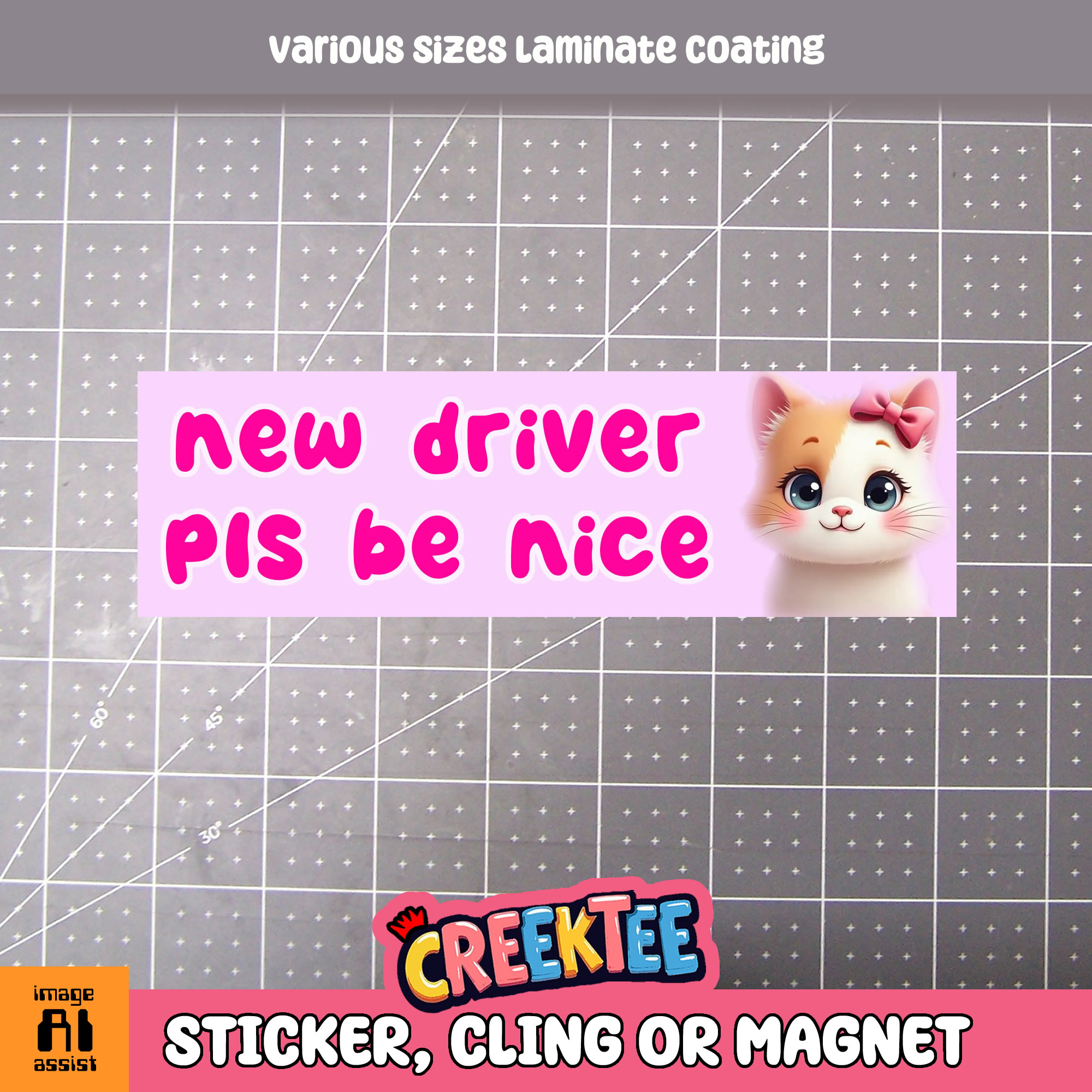 New Driver Pls Be Nice Vinyl Bumper Sticker  Window Cling or Magnet in UV Laminate Coating and Various Sizes - Custom Bumper Sticker, Vinyl Sticker, or Magnet