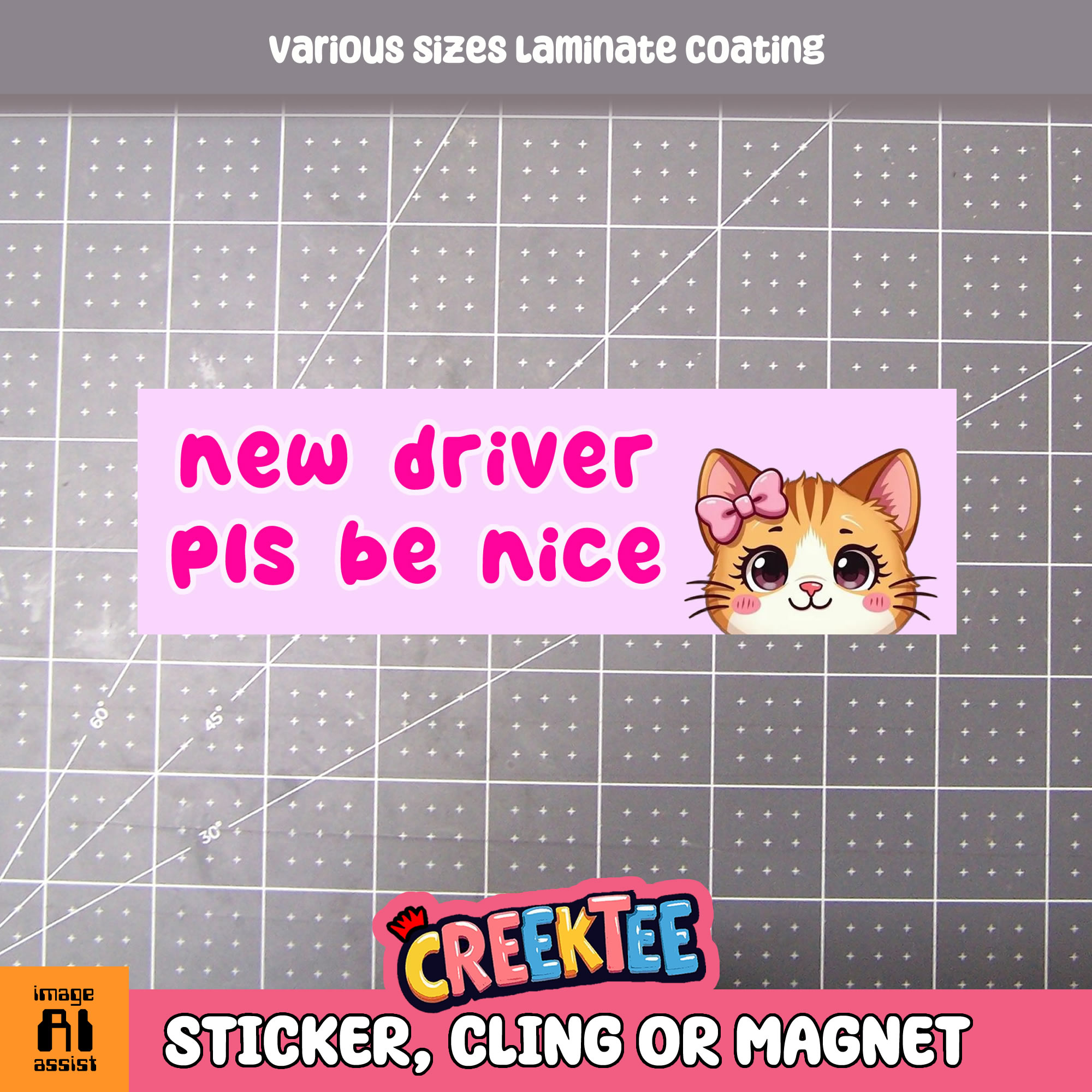 New Driver Pls Be Nice Vinyl Bumper Sticker  Window Cling or Magnet in UV Laminate Coating and Various Sizes - Custom Bumper Sticker, Vinyl Sticker, or Magnet