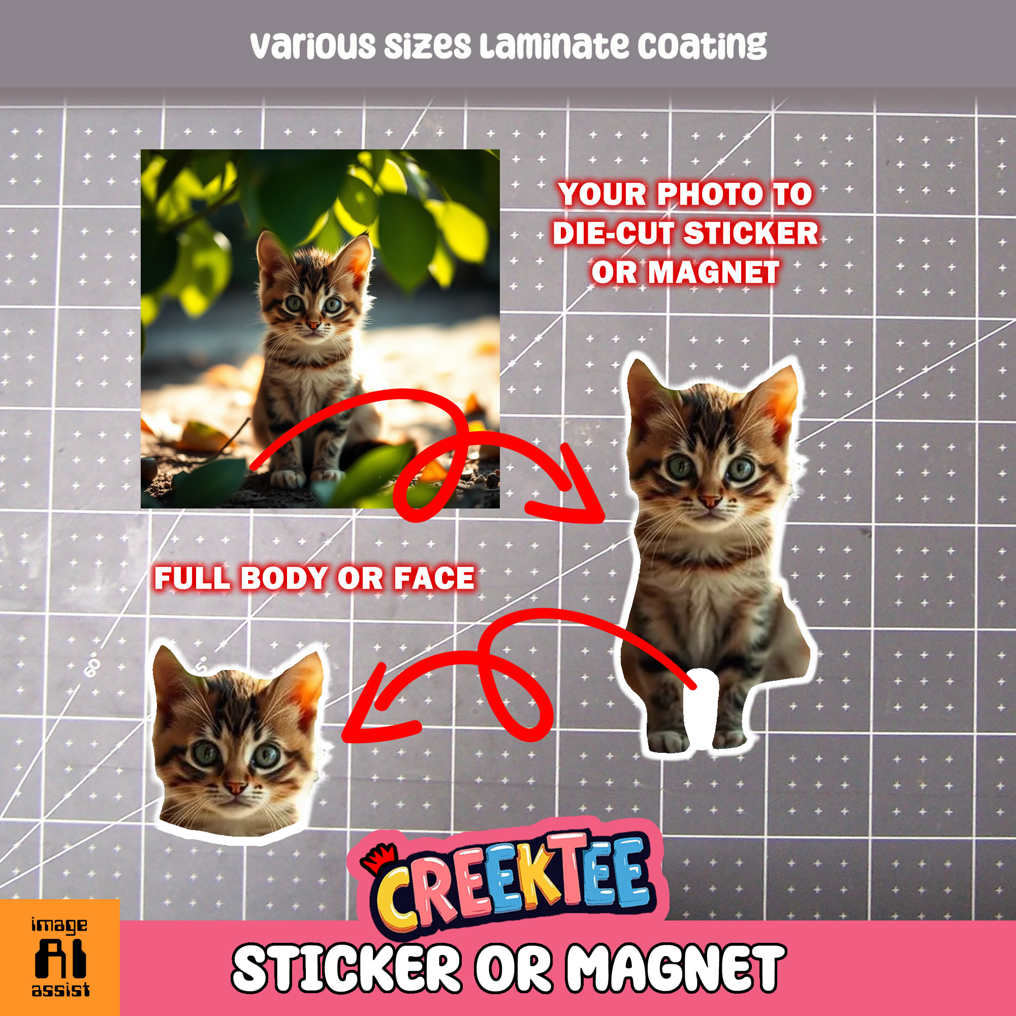 Custom Photo Die Cut Vinyl Sticker  Window Cling or Magnet with Laminate Coating in Various Sizes - Custom Bumper Sticker, Vinyl Sticker, or Magnet