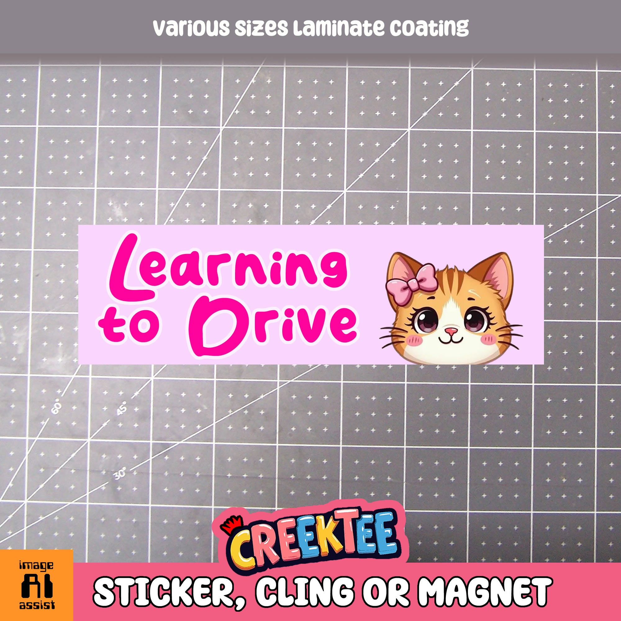 Learning to Drive Vinyl Bumper Sticker  Window Cling or Magnet in UV Laminate Coating and Various Sizes - Custom Bumper Sticker, Vinyl Sticker, or Magnet