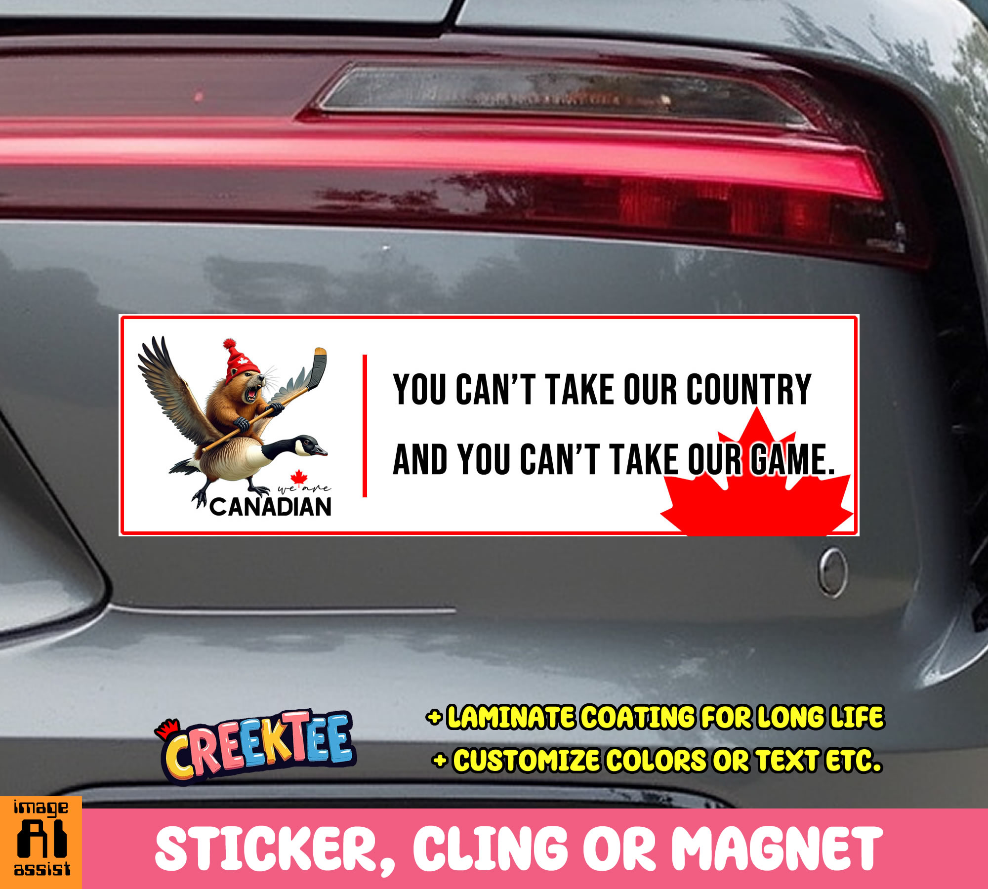 You Can t Take Our Country and You Can t Take Our Game Vinyl Bumper Sticker  Window Cling or Magnet in UV Laminate Coating and Various Sizes - Custom Bumper Sticker, Vinyl Sticker, or Magnet
