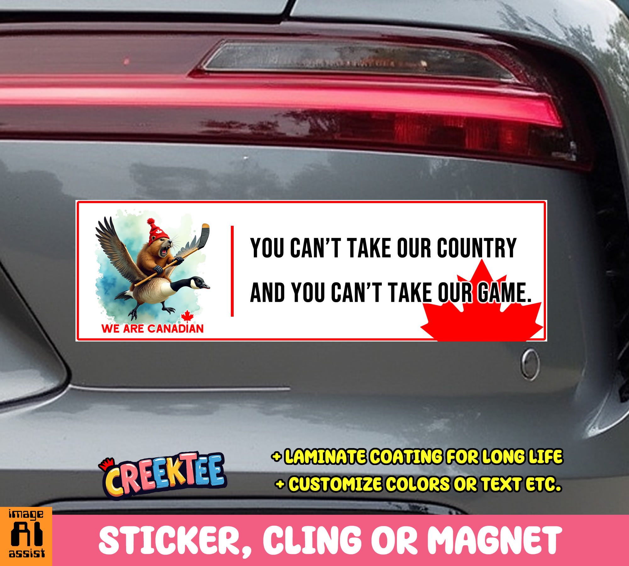 You Can t Take Our Country and You Can t Take Our Game Vinyl Bumper Sticker  Window Cling or Magnet in UV Laminate Coating and Various Sizes - Custom Bumper Sticker, Vinyl Sticker, or Magnet
