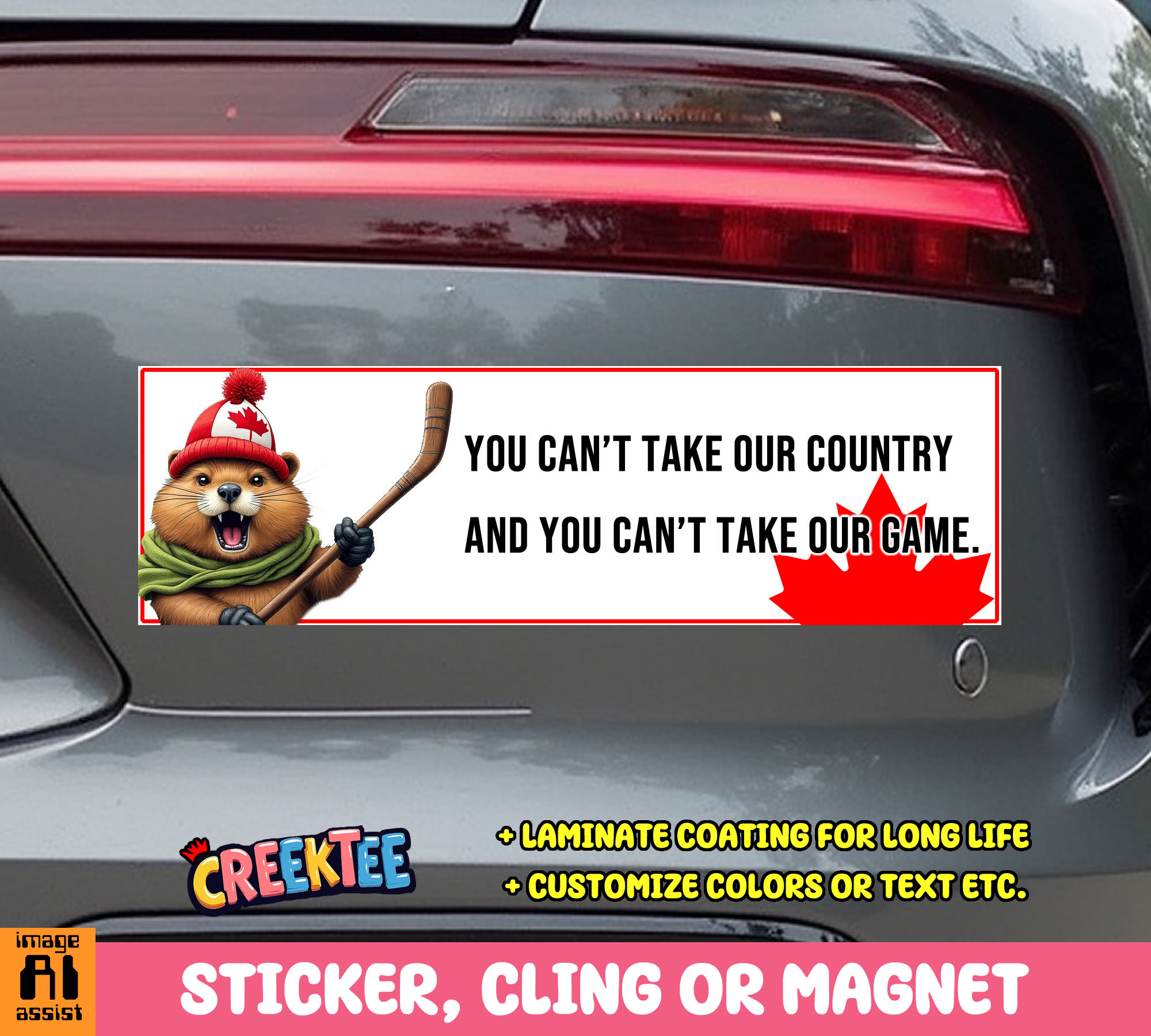 You Can t Take Our Country and You Can t Take Our Game Vinyl Bumper Sticker  Window Cling or Magnet in UV Laminate Coating and Various Sizes - Custom Bumper Sticker, Vinyl Sticker, or Magnet