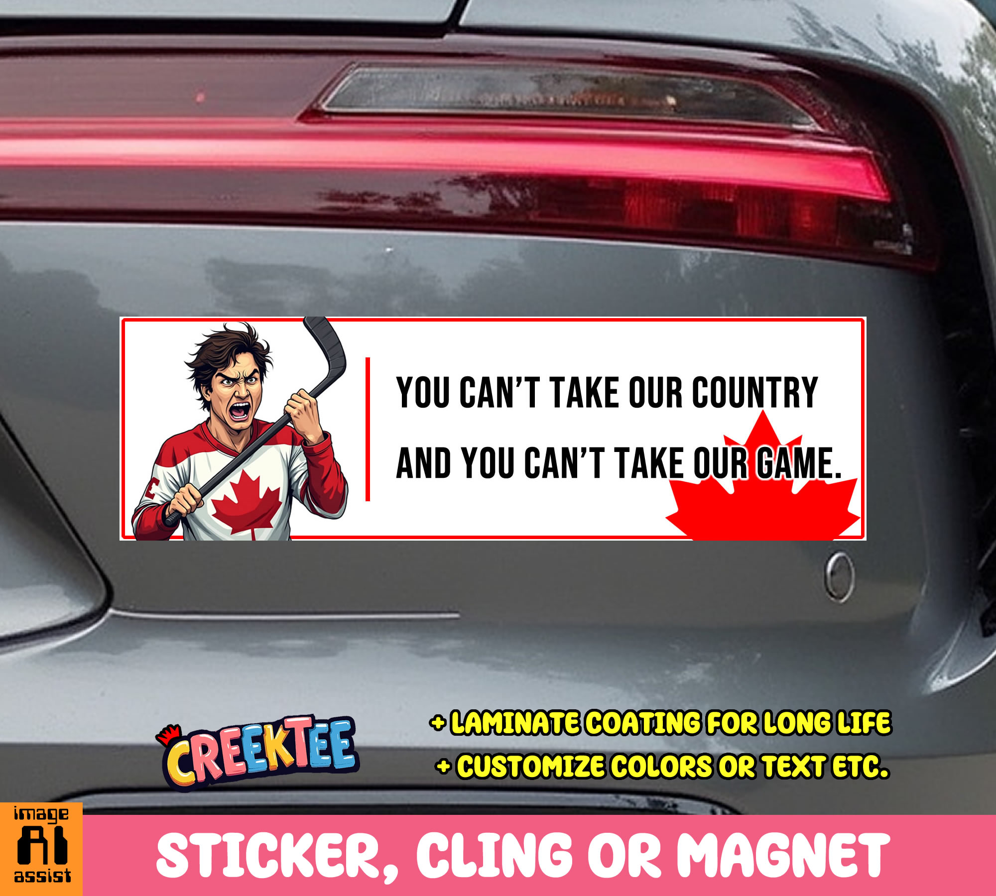 You Can t Take Our Country and You Can t Take Our Game Vinyl Bumper Sticker  Window Cling or Magnet in UV Laminate Coating and Various Sizes - Custom Bumper Sticker, Vinyl Sticker, or Magnet